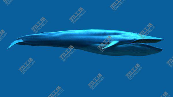 images/goods_img/20210312/3D Blue Whale/2.jpg